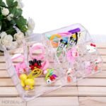 Hộp mica kỹ thuật HMKT-28012